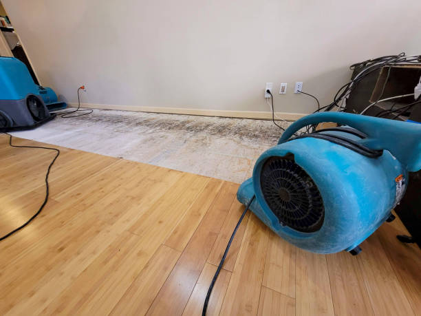 Professional Flood Damage Cleanup technician working in Russellville, OH